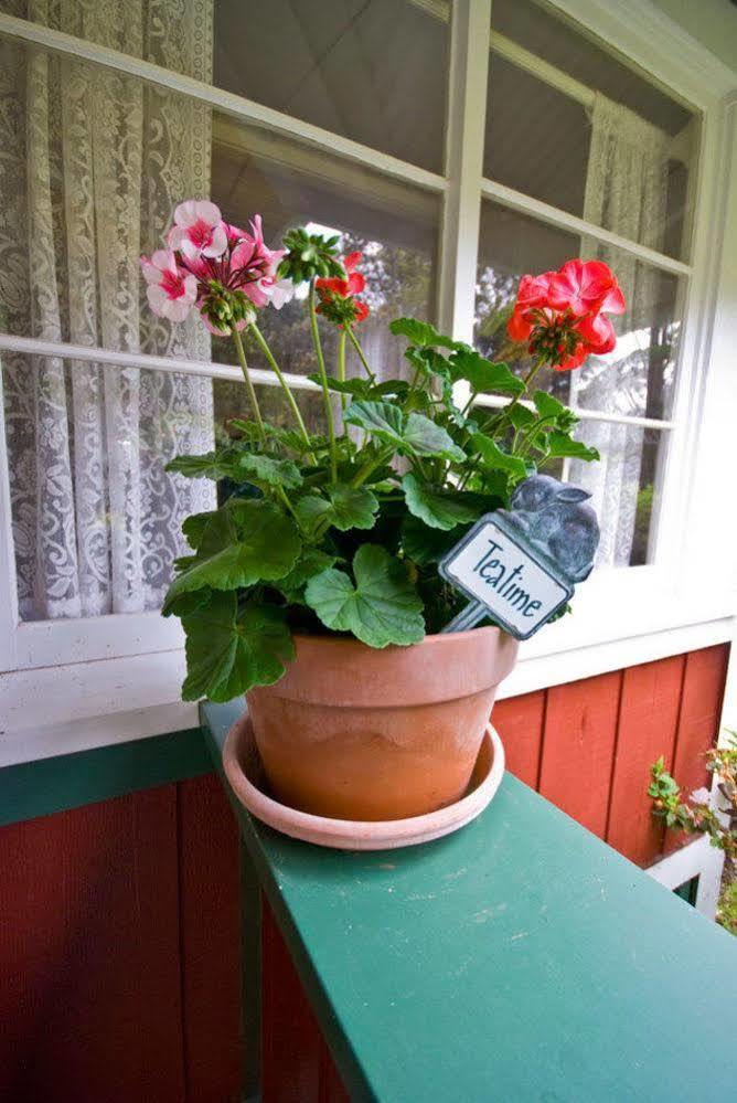 Volcano Teapot Cottage Exterior photo